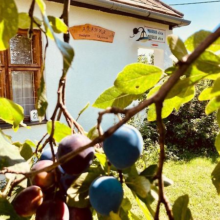 Ubytovanie U Aranky Cierna nad Tisou Экстерьер фото
